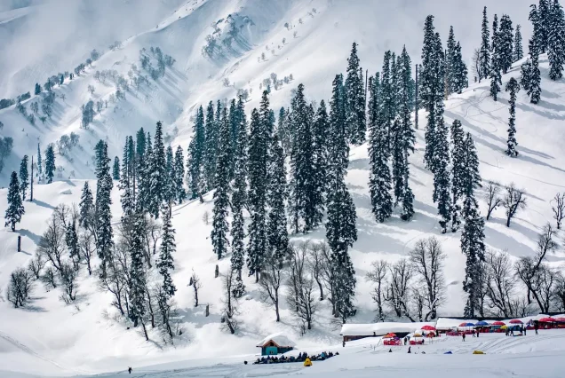 Kashmir Tour Package 4 Night 5 days