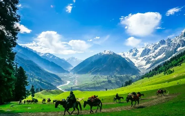 Kashmir Tour 5 Nights - 6 Days