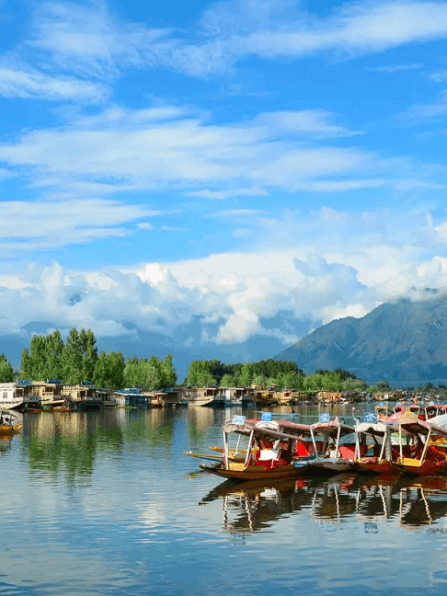 kashmir